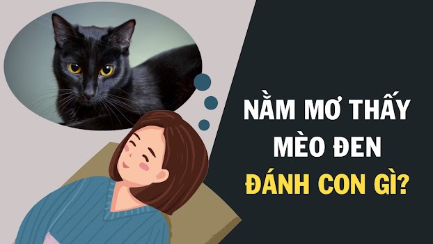 Góc Tâm Linh) Nằm Mơ Thấy Mèo Đánh Con Gì? Số Mấy?